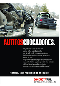 Conducta vial